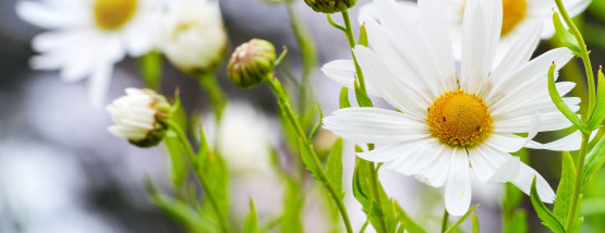 酷狗音乐广告怎么收费?酷狗音乐跑茶叶效果好吗? 酷狗音乐广告怎么收费?酷狗音乐跑茶叶效果好吗?