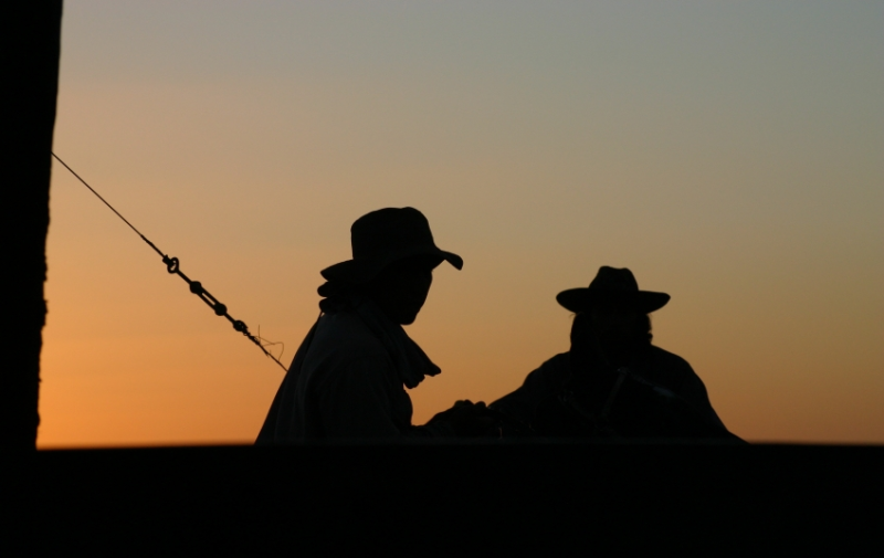 智慧树广告展现形式有哪些?智慧树跑厨具广告需要多少费用? 智慧树广告展现形式有哪些?智慧树跑厨具广告需要多少费用?