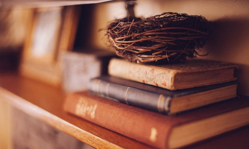 智慧树广告展现形式有哪些?智慧树跑厨具广告需要多少费用? 智慧树广告展现形式有哪些?智慧树跑厨具广告需要多少费用?