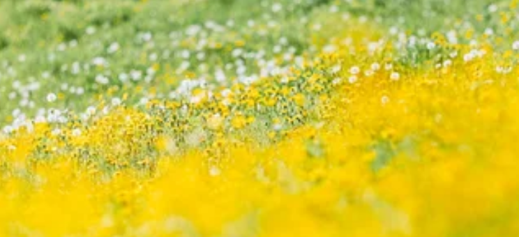 酷狗音乐品牌广告推广效果好吗？酷狗音乐推广业务流程是什么样的？