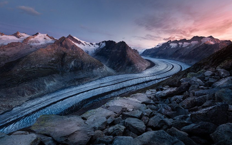 智慧树广告代理商电话是多少？智慧树水产行业信息流广告账户如何开通？