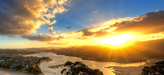 智慧树推广投放有什么技巧? 智慧树推广投放有什么技巧?