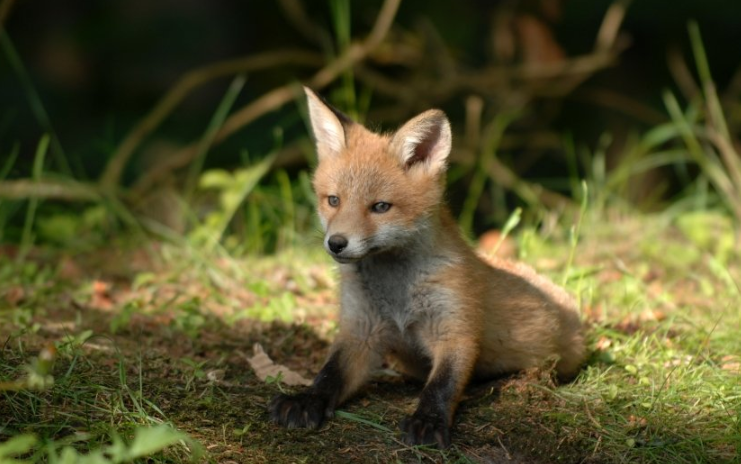 懂球帝跑服装加工返点多少?懂球帝现在跑户外用品成本多少? 懂球帝跑服装加工返点多少?懂球帝现在跑户外用品成本多少?