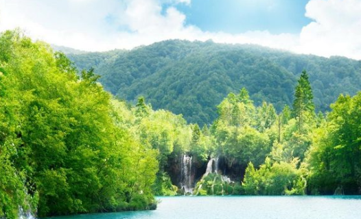 智慧树广告账户开户怎么收费? 智慧树广告账户开户怎么收费?