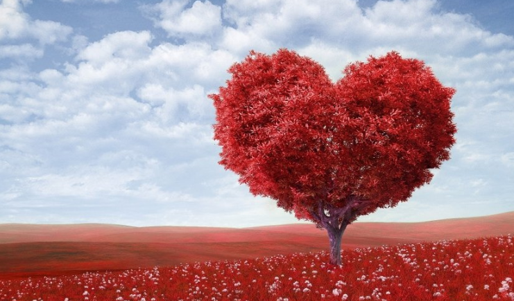 懂球帝现在跑祭祀用品有户吗？懂球帝代理商是哪家？