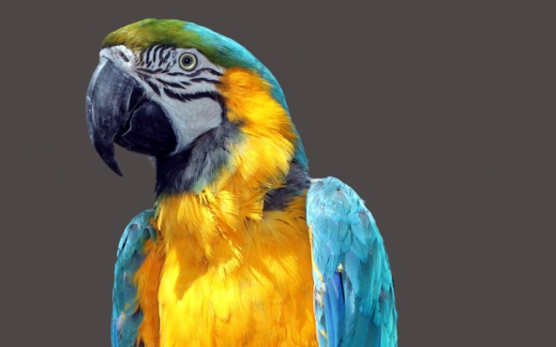 智慧树开户怎么收费? 智慧树开户怎么收费?