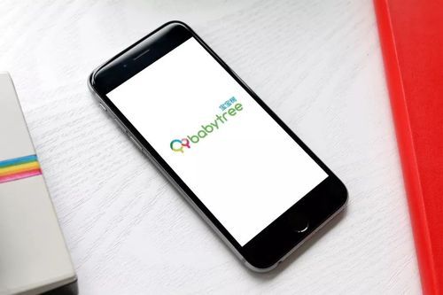 宝宝树推广：如何引领母婴市场发展