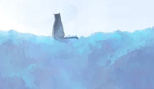 懂球帝信息流广告流程是怎样的?懂球帝开户投放有哪些技巧? 懂球帝信息流广告流程是怎样的?懂球帝开户投放有哪些技巧?