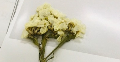 懂球帝信息流开户怎么做？懂球帝信息流开户怎么收费？