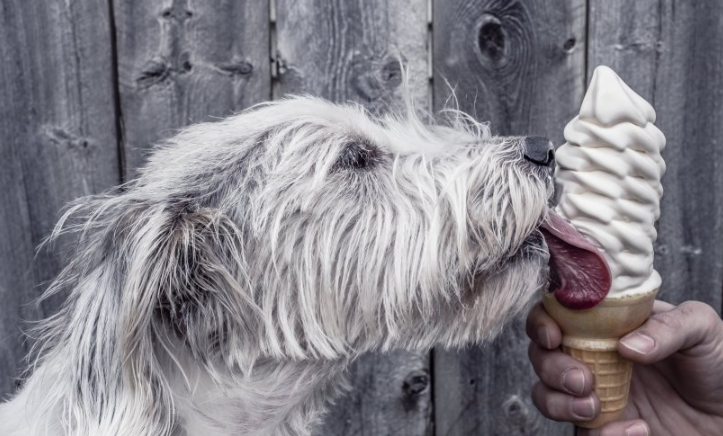 懂球帝信息流广告账户开通需要多少钱呢?懂球帝代理商是哪家? 懂球帝信息流广告账户开通需要多少钱呢?懂球帝代理商是哪家?