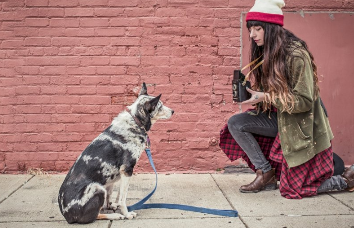 懂球帝广告怎么做?懂球帝现在跑卫浴家电成本需要多少钱呢? 懂球帝广告怎么做?懂球帝现在跑卫浴家电成本需要多少钱呢?