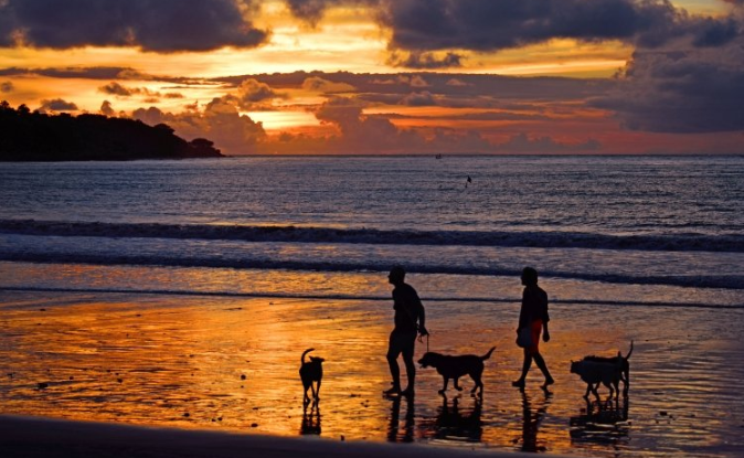 你知道懂球帝开户需要多少钱吗?懂球帝现在跑量具效果怎么样? 你知道懂球帝开户需要多少钱吗?懂球帝现在跑量具效果怎么样?