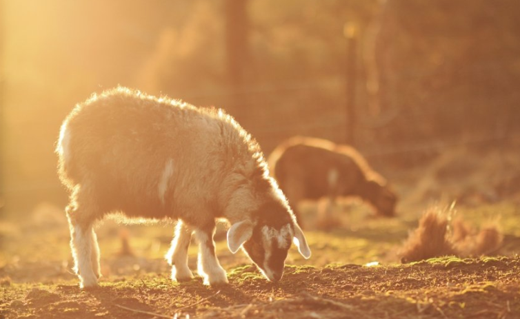 美柚跑数码返点多少？美柚上跑电脑软件效果好吗？