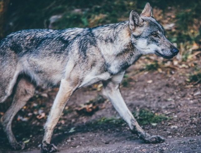 美柚跑数码返点多少？美柚上跑电脑软件效果好吗？