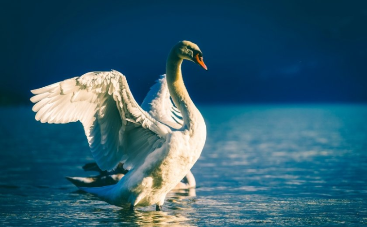 美柚广告开户流程有哪些?美柚跑新能源效果怎么样? 美柚广告开户流程有哪些?美柚跑新能源效果怎么样?