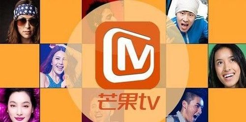 教育行业在芒果tv广告投放该怎改善 教育行业在芒果tv广告投放该怎改善