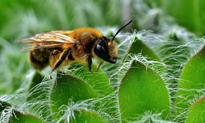 酷狗现在跑加粉成本需要多少钱?酷狗现在推广那些产品呢? 酷狗现在跑加粉成本需要多少钱?酷狗现在推广那些产品呢?