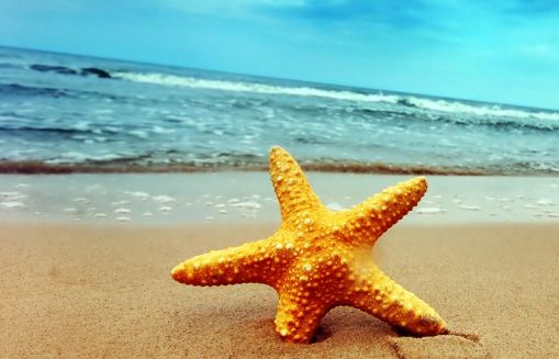 全民K歌广告怎么投放效果好不好？