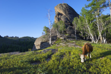 芒果TV广告怎么做?芒果TV视频开户流程。 芒果TV广告怎么做?芒果TV视频开户流程。