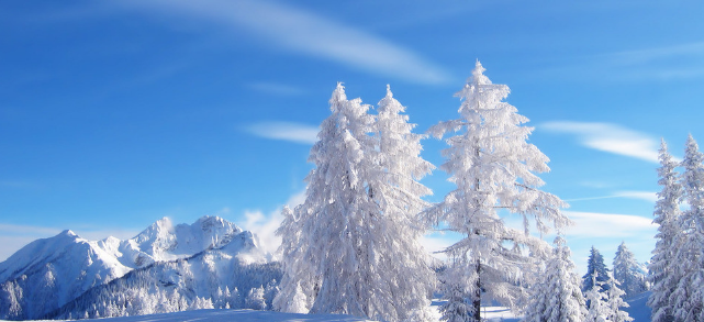 爱奇艺视频休闲食品广告怎么收费?广告价格是多少? 爱奇艺视频休闲食品广告怎么收费?广告价格是多少?