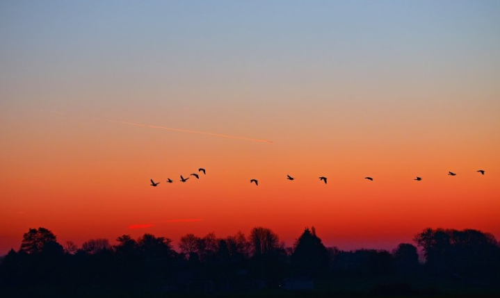 全民K歌广告开户流程有哪些?全民K歌现在跑兼职成本多少？