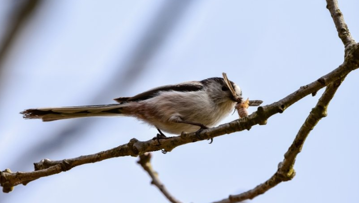 芒果现在跑水果批发成本需要多少钱呢?芒果现在跑摆摊成本需要多少钱呢? 芒果现在跑水果批发成本需要多少钱呢?芒果现在跑摆摊成本需要多少钱呢?