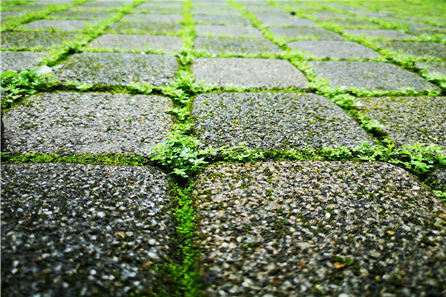 高高德地图投放广告平台联合未来交通报告! 高高德地图投放广告平台联合未来交通报告!