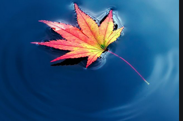 skype推广电话是多少?skype信息流广告怎么做? skype推广电话是多少?skype信息流广告怎么做?