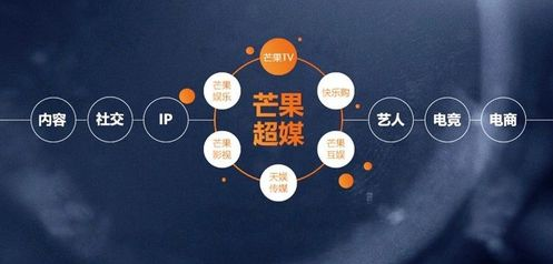 芒果TV信息流投放：打造超媒新生态，广告新生态！