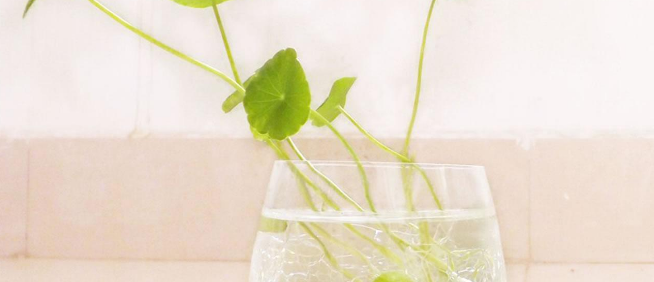 知乎跑美妆广告怎么做?开户流程有哪些? 知乎跑美妆广告怎么做?开户流程有哪些?