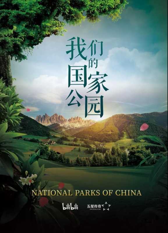 B站营销打开商业化大门，迎接更多营销伙，伴走向美好未来0