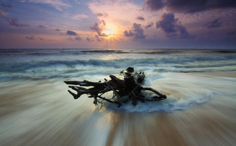 在芒果跑文体用品返点的多少？在芒果过泡化妆品成本多少？