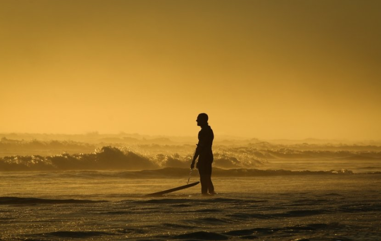 在猎豹跑货物运输返点多少?猎豹现在跑服装加工返点多少? 在猎豹跑货物运输返点多少?猎豹现在跑服装加工返点多少?