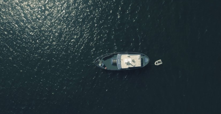 芒果代理商是哪家？你知道现在投放广告找哪家公司吗？