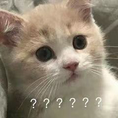 上班啦妈妈2来袭！爱奇艺广告推广重磅推荐！