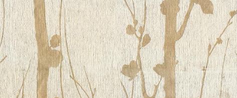 知乎广告展现形式有哪些？知乎广告展现位有哪些？