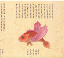 哔哩哔哩广告平台:昨晚,B站埋下了海量彩蛋 哔哩哔哩广告平台:昨晚,B站埋下了海量彩蛋