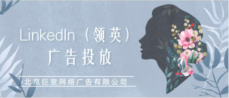 LinkedIn广告投放——访问和管理匹配目标客户再目标客户网站 LinkedIn广告投放——访问和管理匹配目标客户再目标客户网站