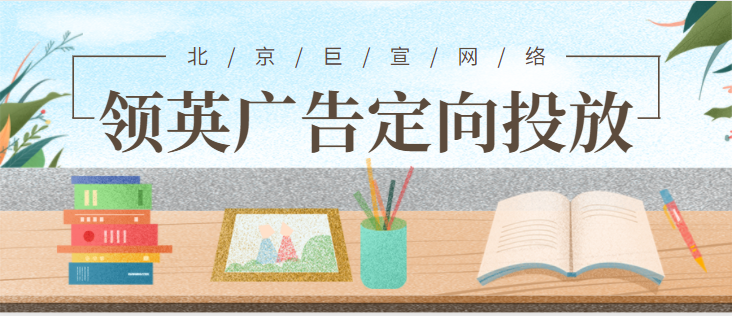 LinkedIn广告开户——匹配受众中的匹配速率、营业匹配受众、过期的匹配受众列表