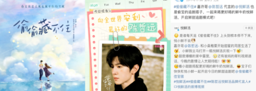 青春高甜藏不住,大剧上演品牌攻心战|优酷广告营销案例 青春高甜藏不住,大剧上演品牌攻心战|优酷广告营销案例