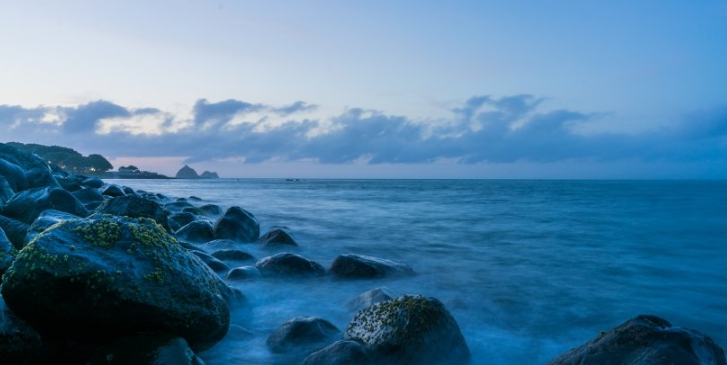 Twitter信息流广告客服电话是多少?Twitter现在跑食用菌成本需要多少钱呢? Twitter信息流广告客服电话是多少?Twitter现在跑食用菌成本需要多少钱呢?