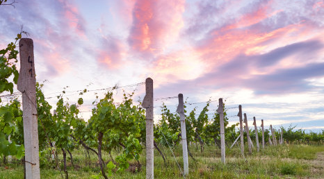 喜马拉雅推广投放技巧有哪些？喜马拉雅推广优惠活动有哪些形式？