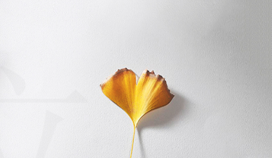 喜马拉雅开户怎么收费？喜马拉雅广告代理商电话是多少？