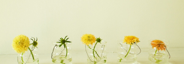 喜马拉雅跑小说广告优惠活动有哪些？有哪些投放技巧？