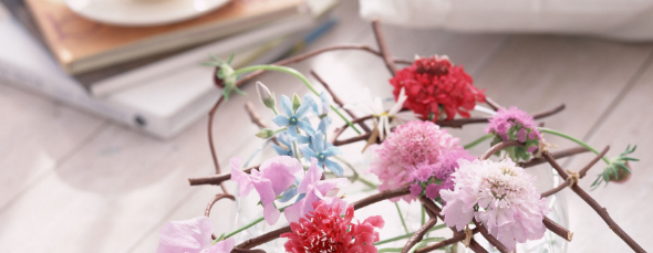 喜马拉雅跑小说广告优惠活动有哪些？有哪些投放技巧？