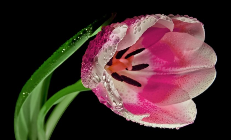 爱奇艺视频广告如何做?爱奇艺视频广告价格如何计算? 爱奇艺视频广告如何做?爱奇艺视频广告价格如何计算?