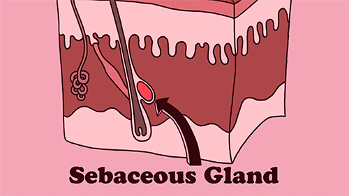 这篇完整版战「痘」攻略,可以分享给身边的易长痘星人 这篇完整版战「痘」攻略,可以分享给身边的易长痘星人