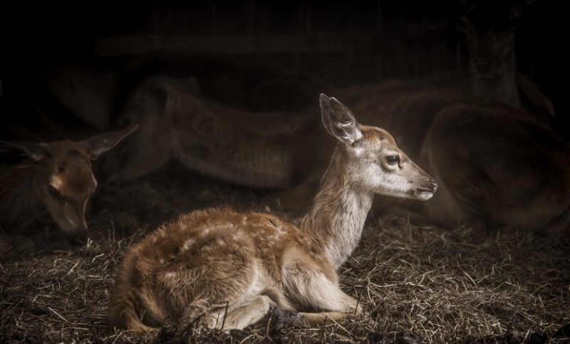 优酷广告价格是多少钱?优酷视频现在投放广告一天需要多少钱? 优酷广告价格是多少钱?优酷视频现在投放广告一天需要多少钱?