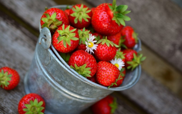 优酷视频广告登录入口在哪里?优酷现在跑开关成本需要多少? 优酷视频广告登录入口在哪里?优酷现在跑开关成本需要多少?