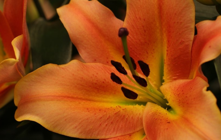 优酷视频广告怎么做?优酷视频现在跑纸业成本多少钱? 优酷视频广告怎么做?优酷视频现在跑纸业成本多少钱?